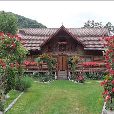 Casa Bunicii Hotel Costeşti Екстериор снимка