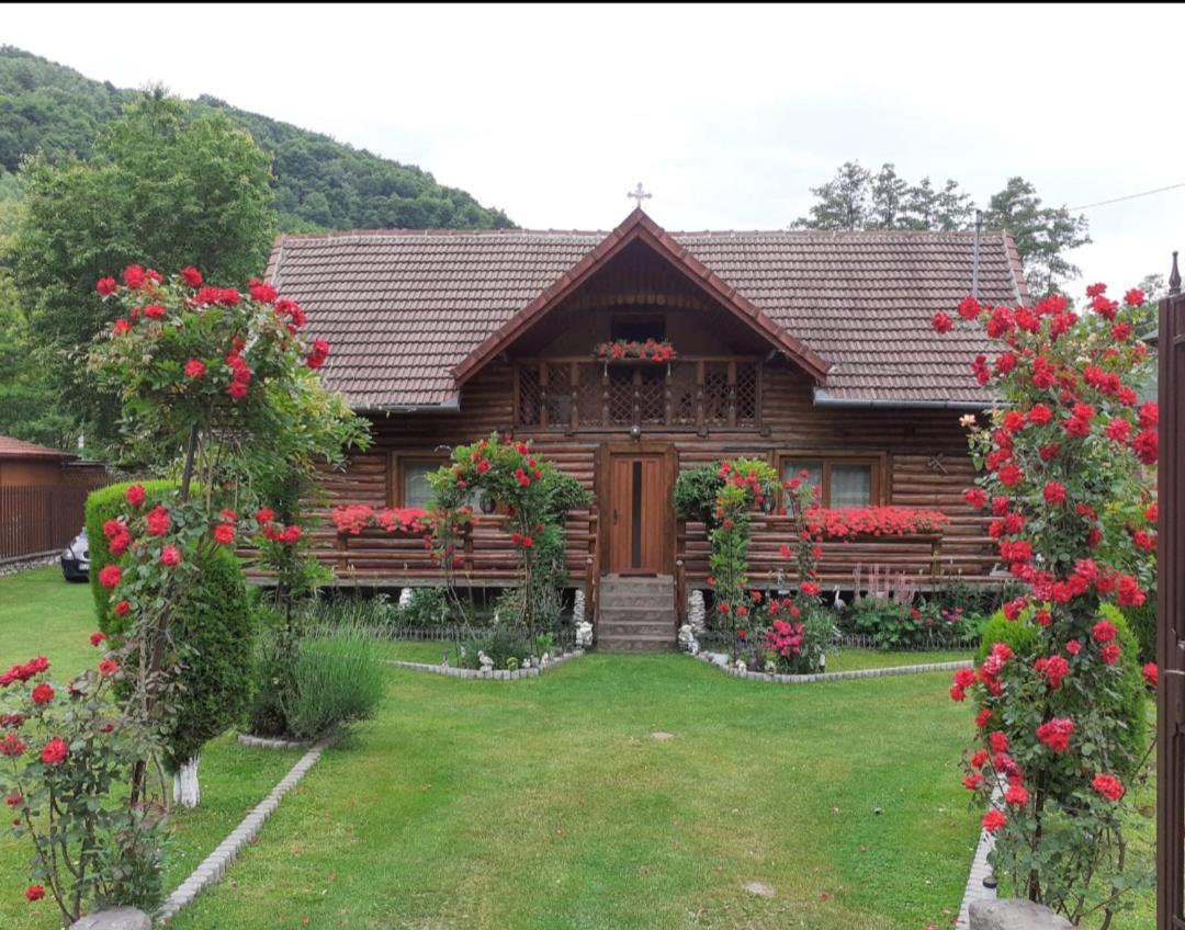 Casa Bunicii Hotel Costeşti Екстериор снимка
