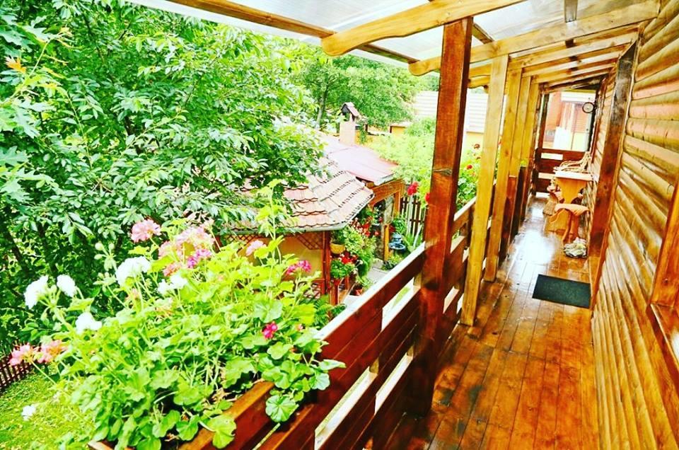 Casa Bunicii Hotel Costeşti Екстериор снимка